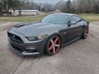 Thumbnail Photo 0 for 2015 Ford Mustang GT Premium